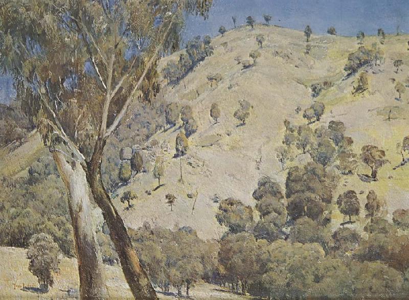 Tom roberts Australian landscape oil painting image